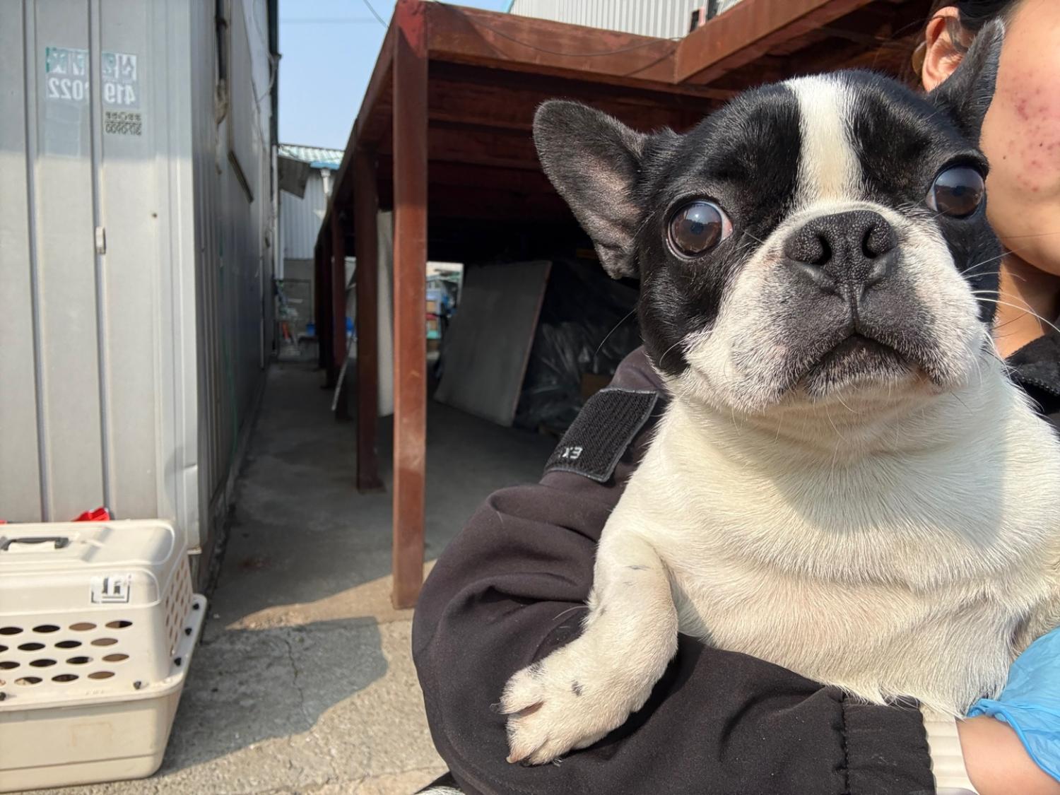 한국야생동물보호협회_441393202500237